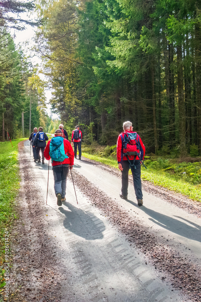 Canvas Prints Group of men hiking on a gravel road in the sunshine at a coniferous forest