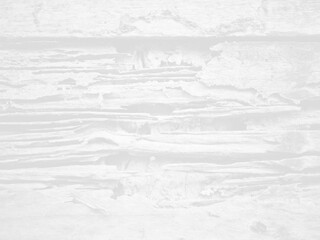 Obraz premium Abstract old damaged wood background, white filter effect, termite damaged wood wall