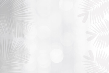 Palm leaves shadow over white bokeh background, white tropical background 