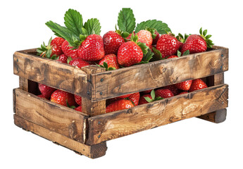 Box of Juicy Strawberries with Green Leaves, Isolated on White