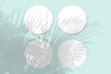 Natural light casts shadows from the plant on 4 round sheets of white textured paper lying on a blue textured background. Mockup