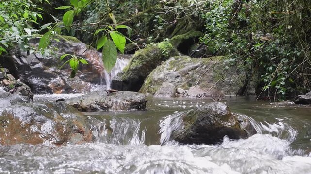 Nature background: Small babbling brook in green tropical rainforest