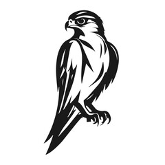 Eagle silhouette on white background