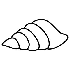 illustration of a seashell