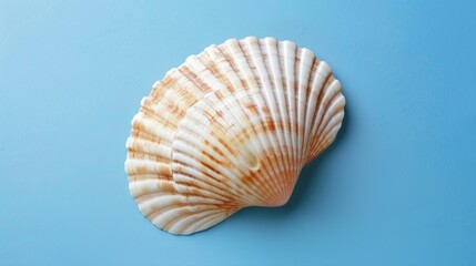 Obraz premium Serenity Found: Seashell on Calming Blue Background Generative AI
