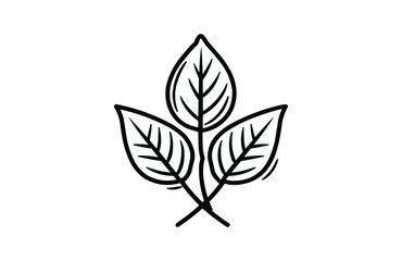 Leaves icon isolated on white background. Beautiful Leaves icon.