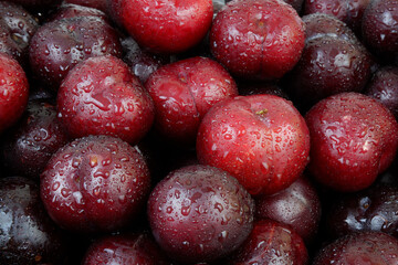 Close up of many  wet cherry plums