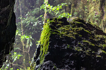 Creative composition in the Cueva del Esplendor, cave of splendor, Jardin, Jardín, Antioquia, Colombia. Dark abstraction with rain falling on a rock and droplets in a ray of light. Green moss
