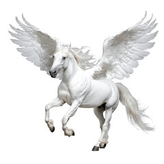 White horse with wings in the sky. Pegasus, the winged stallion of Greek mythology.  The Pegasus horse with clipping path. illustration