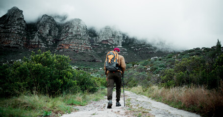 Obraz premium Back, mountain or man on trail hiking in outdoor adventure or forest journey in nature for travel. Healthy, stick and person on walking for holiday, exercise or trekking to explore for wellness