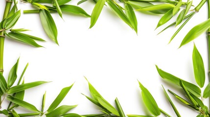 Fototapeta premium bamboo frame on white