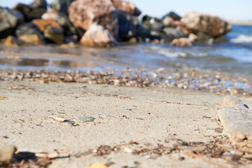Stones on the seashore. Selective focus. Shallow depth of field