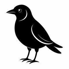 Bird Black silhouette