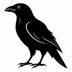 Bird Black silhouette