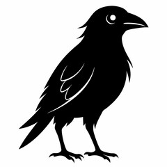 Bird Black silhouette