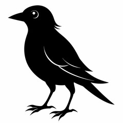Bird Black silhouette