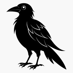 Bird Black silhouette