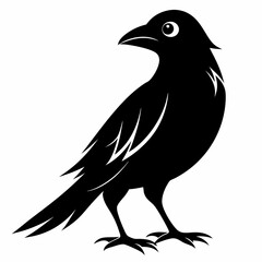 Bird Black silhouette