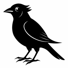 Bird Black silhouette
