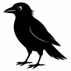 Bird Black silhouette