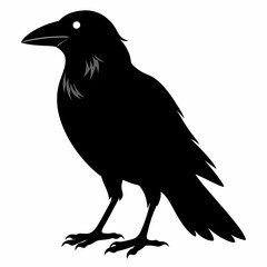 Crow Black silhouette