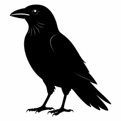 Crow Black silhouette