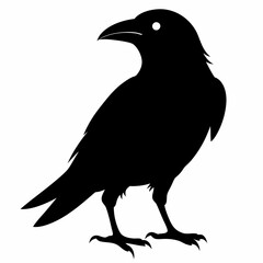 Crow Black silhouette