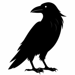 Crow Black silhouette