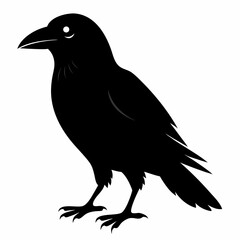 Crow Black silhouette