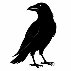 Crow Black silhouette