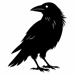 Crow Black silhouette
