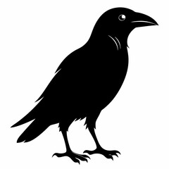 Crow Black silhouette