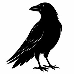 Crow Black silhouette