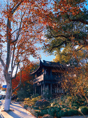 Fall in Hangzhou China 