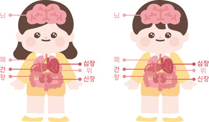 신체, 장기, 교육