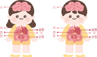 어린이 신체 장기