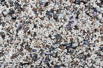 Details am Strand, Westfjorde, Island