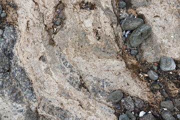 Details am Strand, Westfjorde, Island