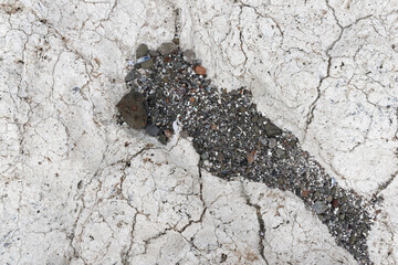 Details am Strand, Westfjorde, Island
