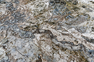 Details am Strand, Westfjorde, Island