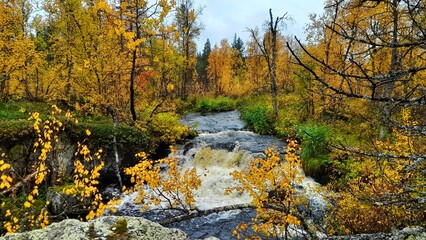 Herbst in Lappland (Finnland)