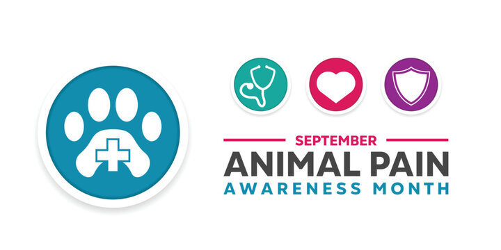 Animal Pain Awareness Month. Pet icon, stethoscope, heart and shield. Great for cards, banners, posters, social media and more. White background.