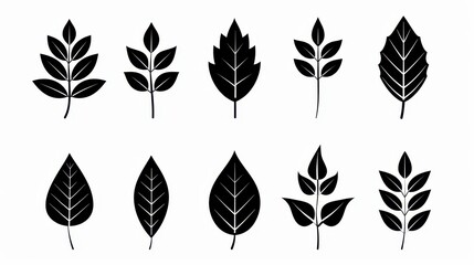 Fototapeta premium A sleek set of leaf icons, perfect for enhancing your design projects with natural elements, available in black on white.