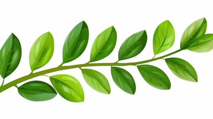 Fototapeta premium Stunning botanical illustration of a single stem with vivid leaves, ideal for study and aesthetics on a clean white backdrop.