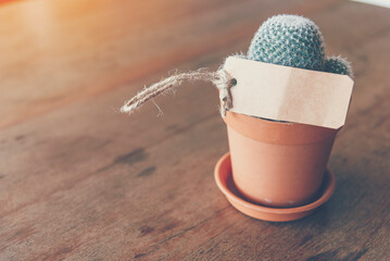 Cactus with empty banner on wooden table background design for interior use board. Display product furniture desk with blurred background. Ready use to present product display banner with copy space