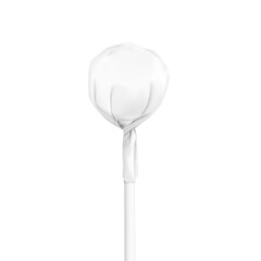 A lollipop hard candy on a stick twist wrap mockup . Vector illustration isolated on white background. Ready for your design. EPS10.