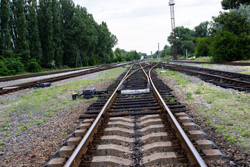 Obraz premium A Serene Summer Day at the Railroad Crossing