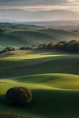 Green hills lanscape cut out