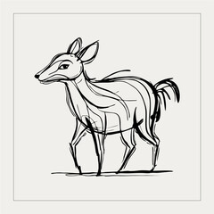 deer line drawing,vector silhouette