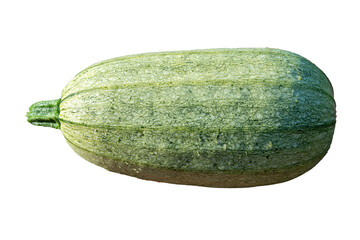 Fresh green zucchini closeup isolated on white background. Farming concept
